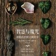 智慧與魔咒 智慧與魔咒