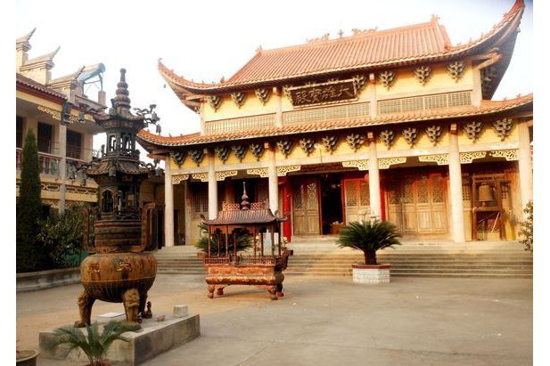 寺東村(山東省膠州市洋河鎮寺東村) 寺東村(山東省膠州市洋河鎮寺東村)