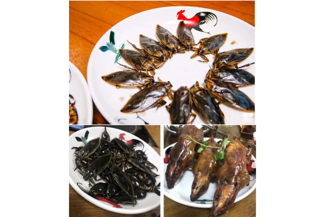 鐘村三寶 鐘村三寶