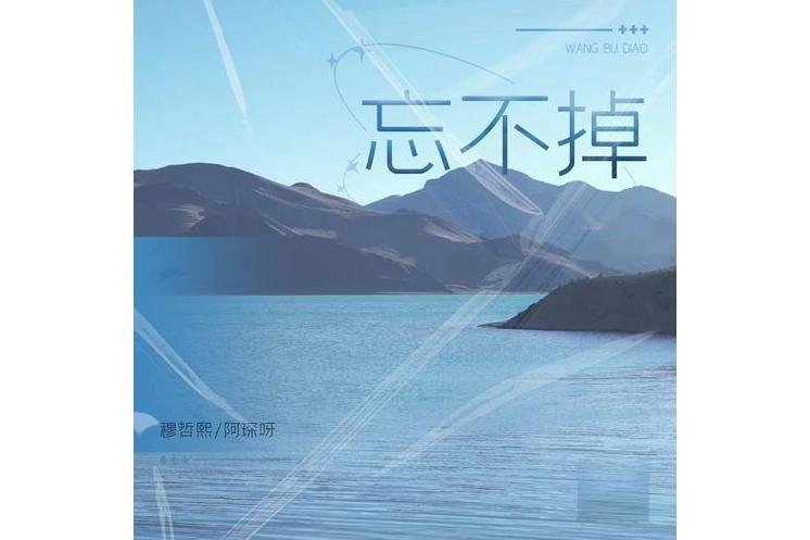 忘不掉(穆哲熙和阿琛呀演唱歌曲) 忘不掉(穆哲熙和阿琛呀演唱歌曲)