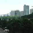 甘棠街道
