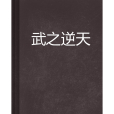 武之逆天 武之逆天