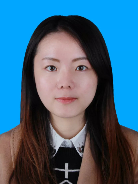 王萍(南京審計大學金審學院教師) 王萍(南京審計大學金審學院教師)