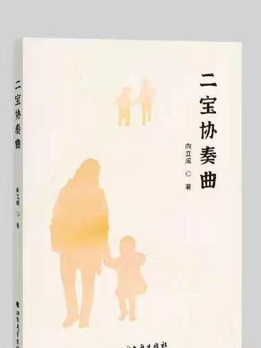 二寶協奏曲 二寶協奏曲