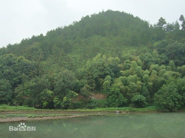 宣平小吃 宣平小吃