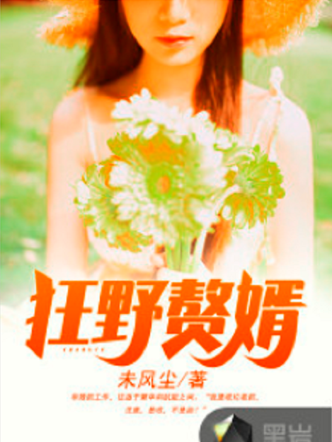 狂野贅婿 狂野贅婿