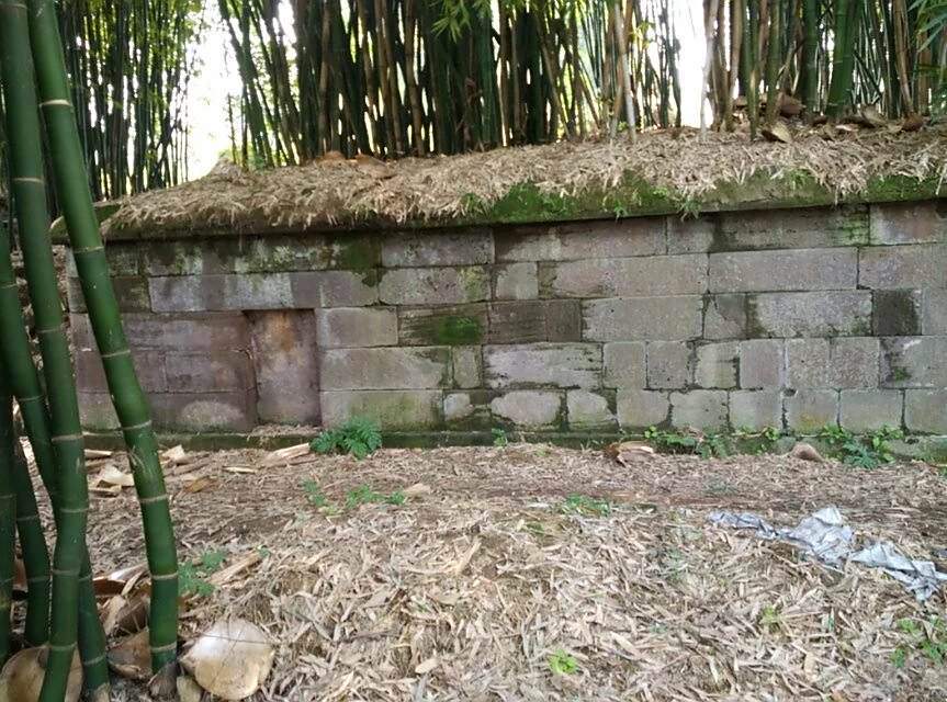 柳葉城