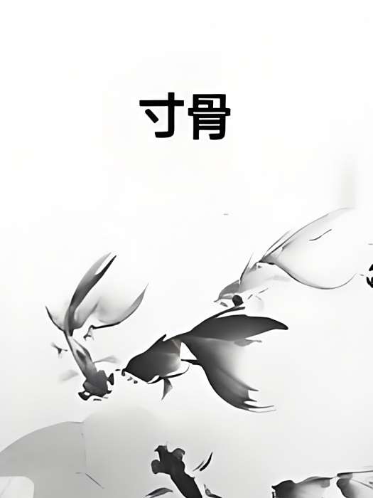 寸骨 寸骨