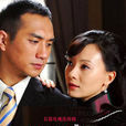 傾城之戀(2009年陳數、黃覺主演內地電視劇)