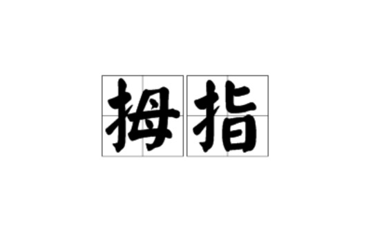 拇指(漢語拼音)