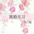 離婚見習 離婚見習
