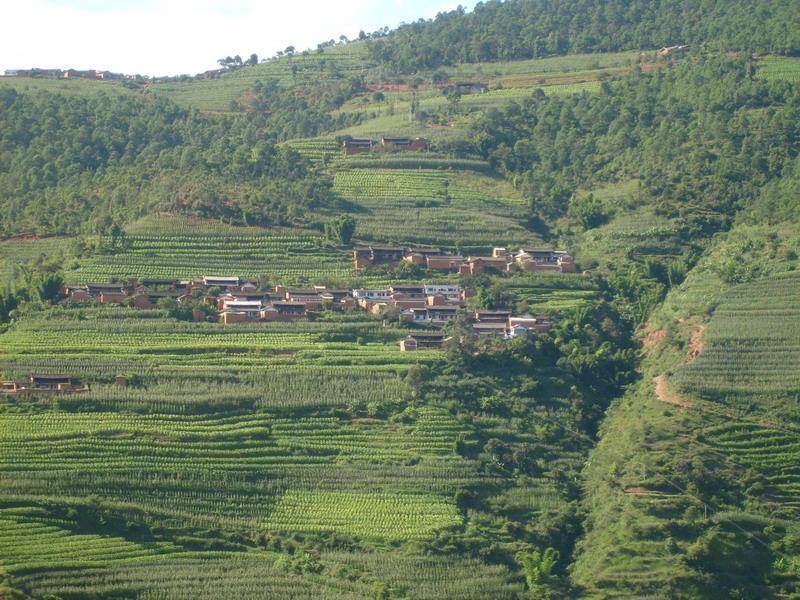 後山田村 後山田村