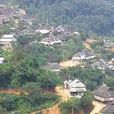 多依村(雲南省蘭坪白族普米族自治縣中排鄉多依村)