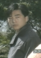 新紮師兄續集(新紮師兄（1985年梁朝偉主演TVB電視劇）)
