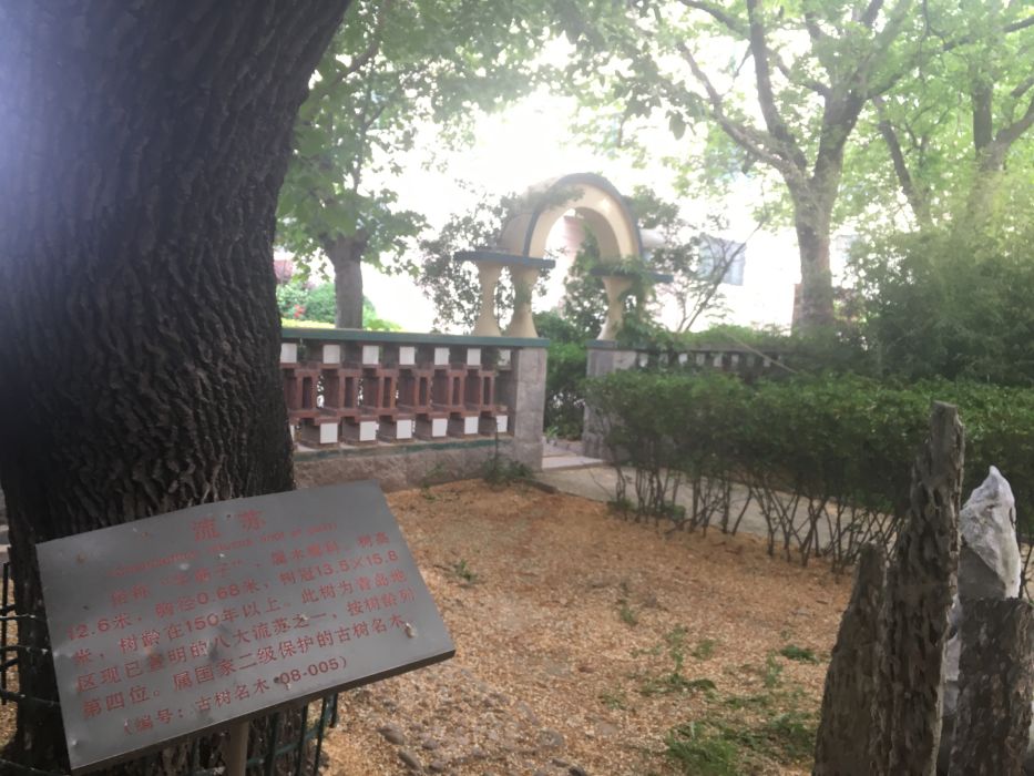 大嶗觀 大嶗觀