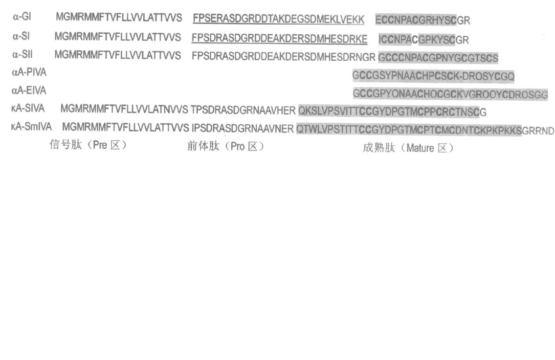 A-超家族芋螺毒素的序列分析