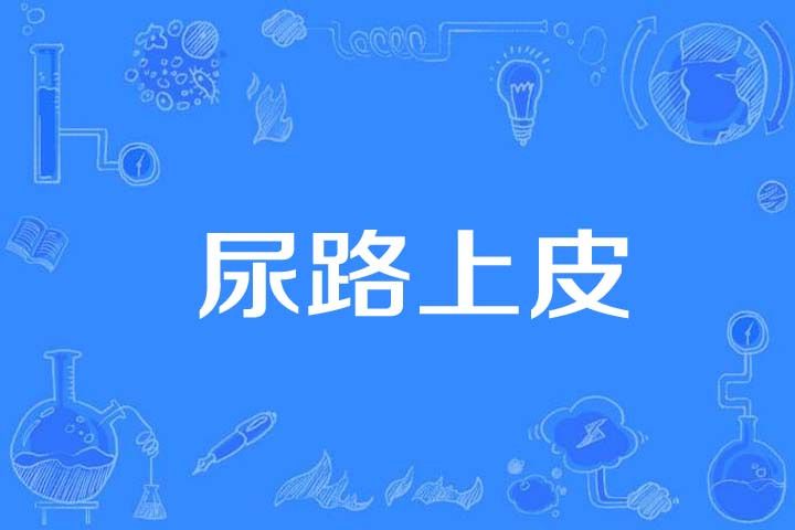 尿路上皮 尿路上皮