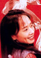 大富之家(1994年張國榮主演電影)