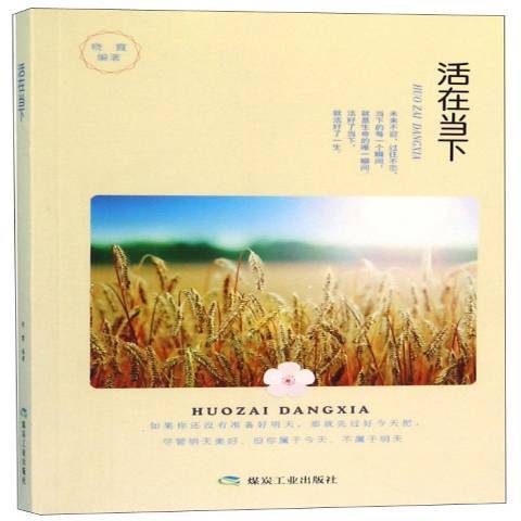 活在當下(2022年煤炭工業出版社出版的圖書) 活在當下(2022年煤炭工業出版社出版的圖書)