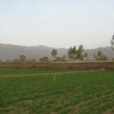 韋家莊村 韋家莊村