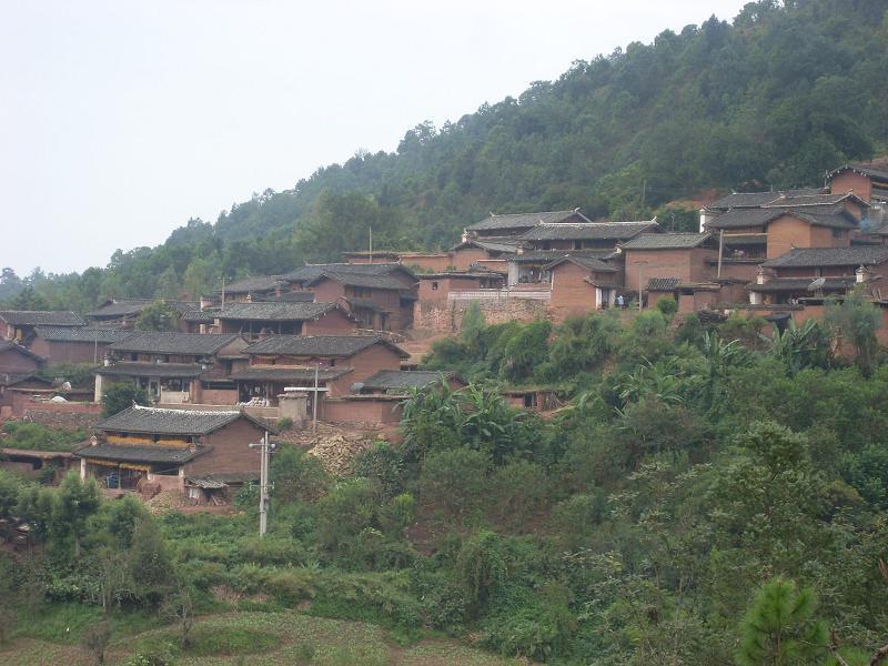 藤子箐村(翠華鎮新民村委會下轄村) 藤子箐村(翠華鎮新民村委會下轄村)