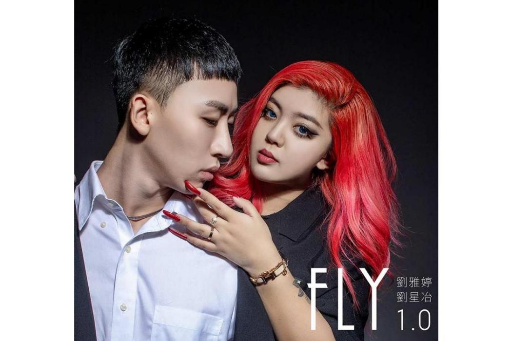 FLY1.0 FLY1.0
