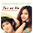 yes or no