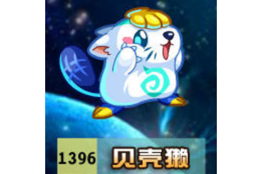 貝殼獺 貝殼獺