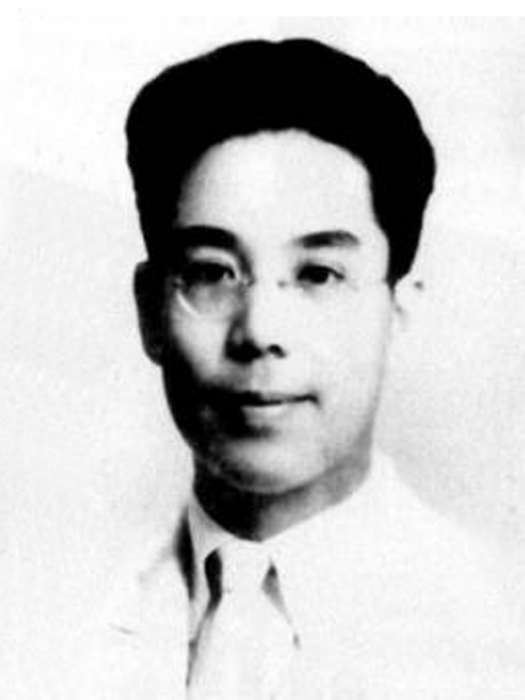 張沖(張淮南) 張沖(張淮南)