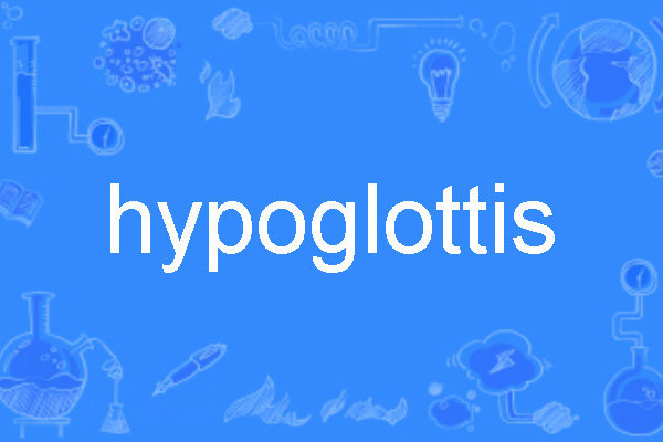 hypoglottis hypoglottis