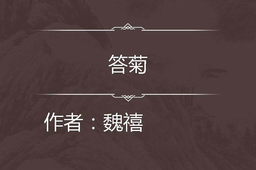 答菊 答菊