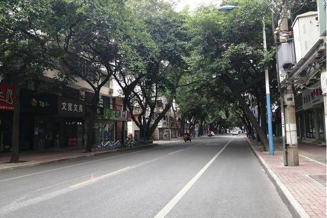 新竹路(蕪湖市新竹路) 新竹路(蕪湖市新竹路)