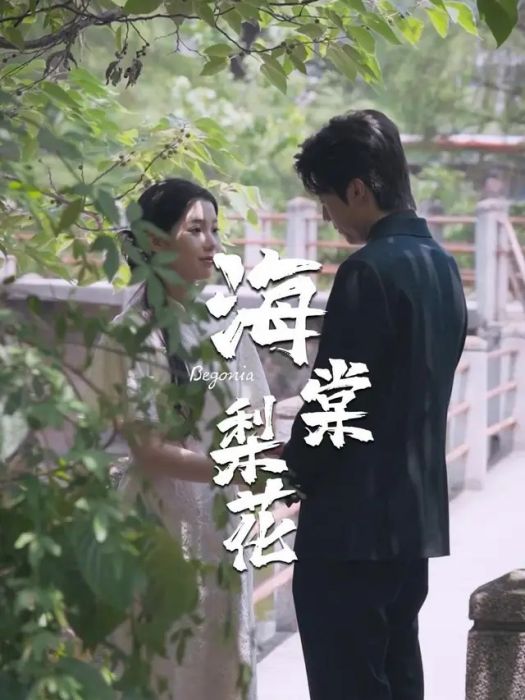 海棠梨花 海棠梨花