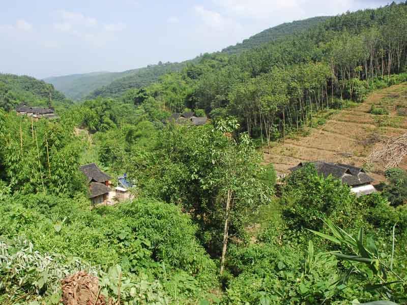 壩沙六村 壩沙六村