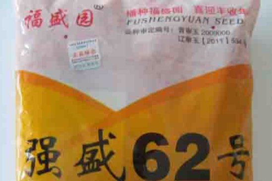 強盛62 強盛62