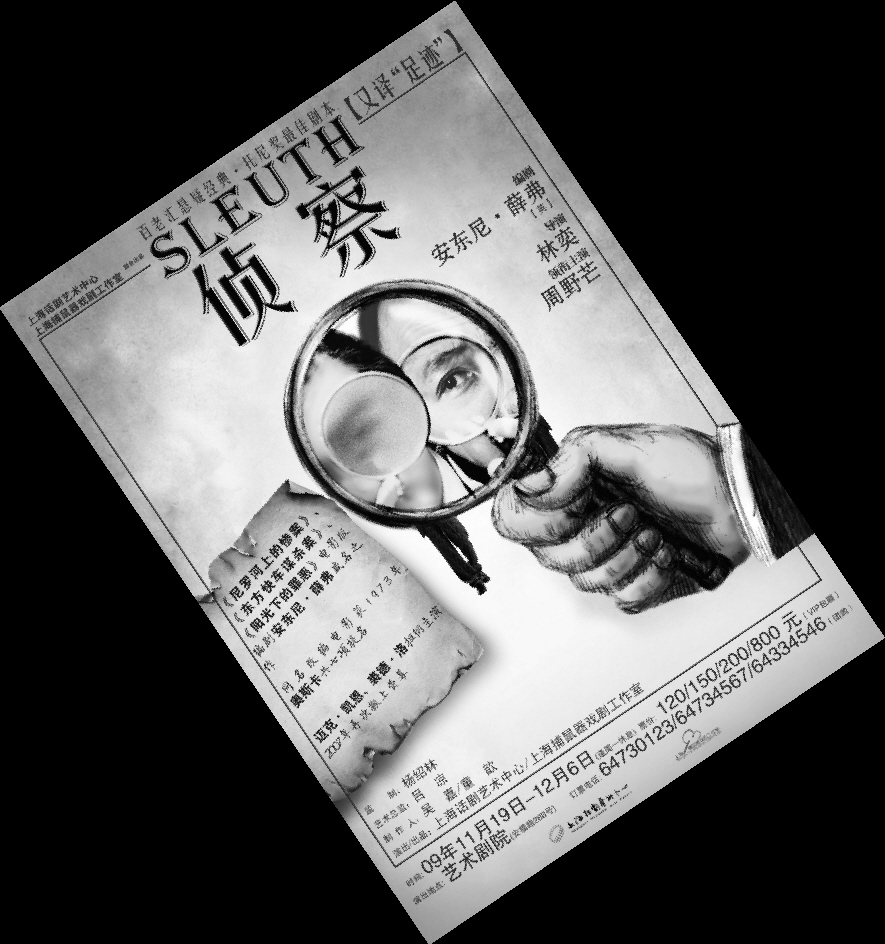 偵探小說(2008年法國電影)