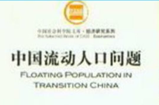 中國流動人口問題