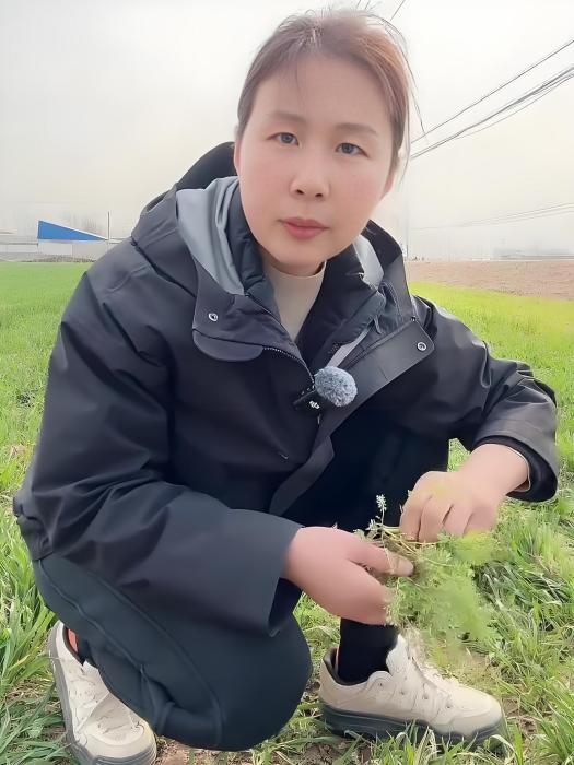 麗姐說農技 麗姐說農技