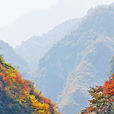 峪口 峪口