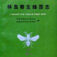 天則出版社 天則出版社