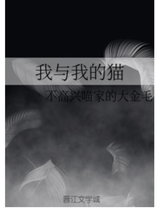 我與我的貓 我與我的貓