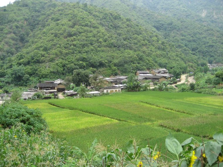 化皮沖村 化皮沖村