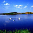 黑龍江烏裕爾河國家級自然保護區