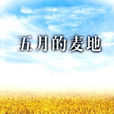 五月的麥地(現代詩歌) 五月的麥地(現代詩歌)