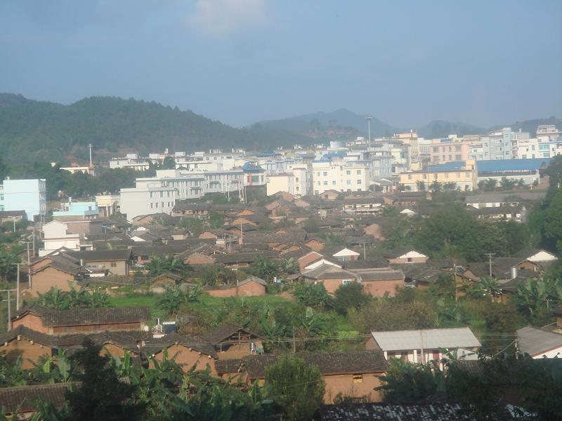 新武村 新武村