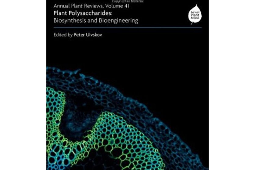 Annual Plant Reviews, Plant Polysaccharides Annual Plant Reviews, Plant Polysaccharides
