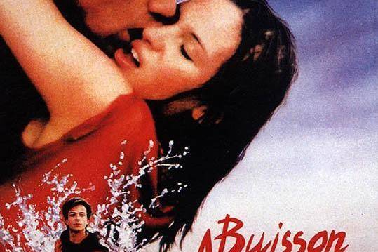 Buisson ardent Buisson ardent