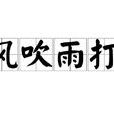風吹雨打 風吹雨打