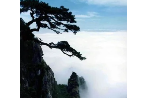 小船兒搖 小船兒搖