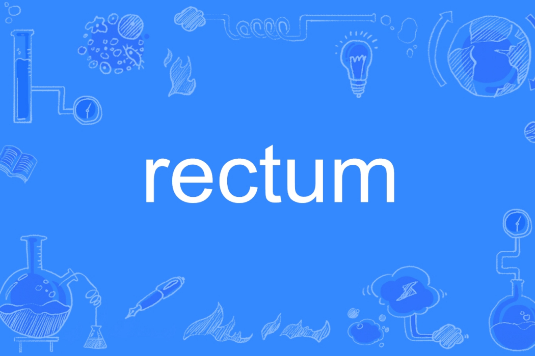 rectum rectum